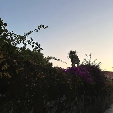 Brisa De Arousa *